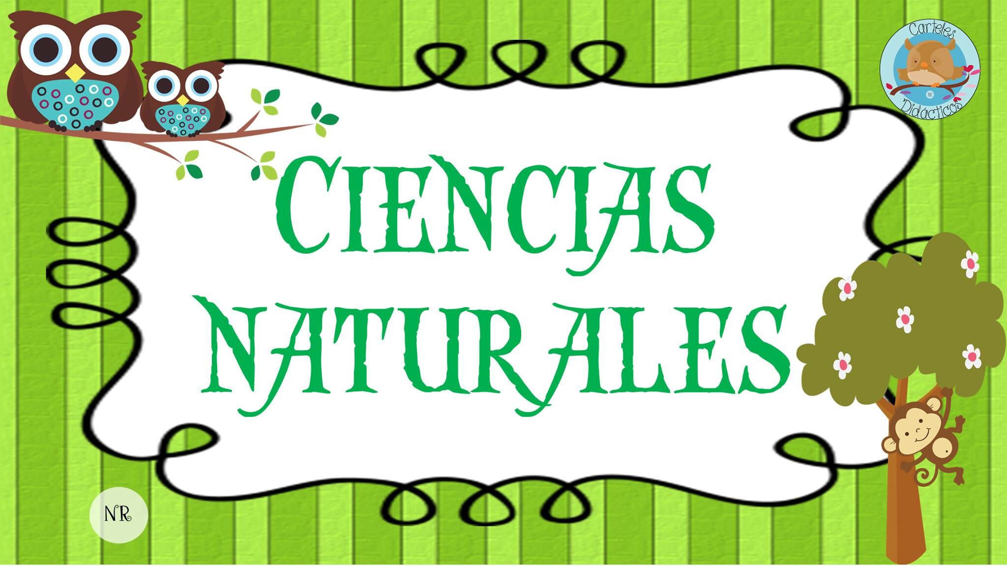 ZCiencias Naturales y TIC (PP 1)